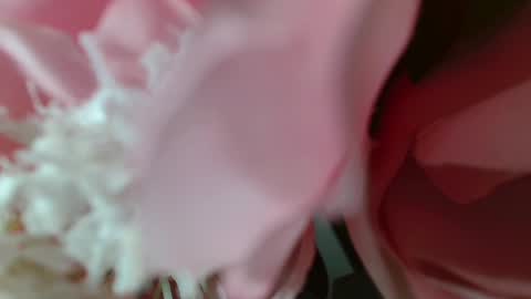 Carrie online show from February 2025 05:25:02 PM