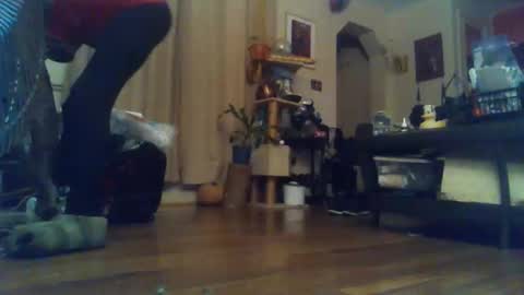 indigo_scorpio online show from November 2025 08:13:02 AM