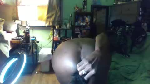 indigo_scorpio online show from December 2025 06:53:02 AM