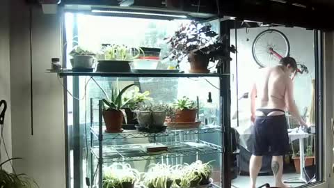 BroLOU online show from June 2026 07:38:02 PM