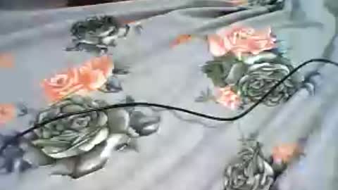 Snapshot of inejhtin chatting on June 2026 04:00:02 AM inejhtin online show from June 2026 04:00:02 AM