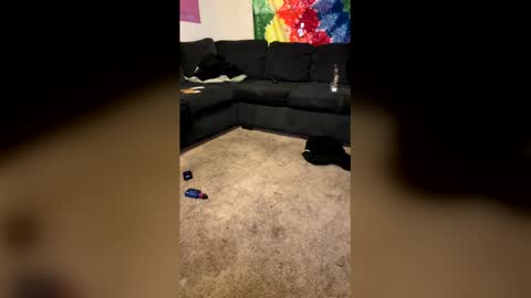 InfamousLibby  Linktree  online show from February 2026 10:18:01 AM