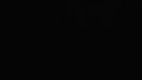 irene online show from February 2025 11:10:02 AM