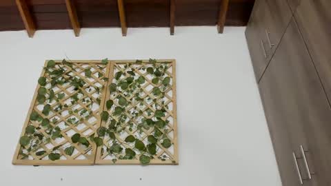 Isabella online show from February 2025 10:22:01 PM