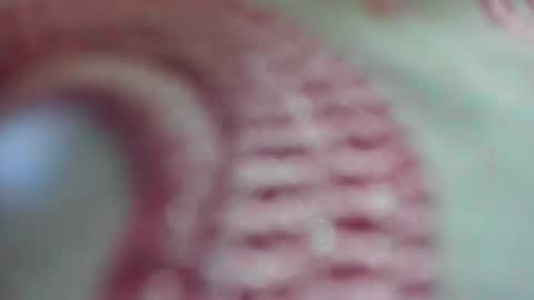 ISABEL online show from July 2026 03:16:01 PM