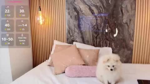 ISADORA online show from October 2025 02:28:01 PM