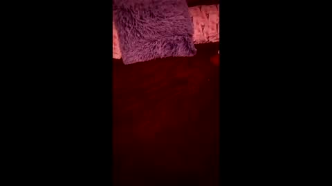 Ral online show from April 2026 07:44:01 AM