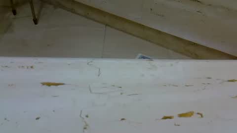 isd1969 online show from January 2025 02:41:01 PM