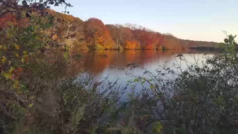 Jim online show from February 2025 07:33:01 AM