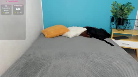 Snapshot of issa_nassar chatting on February 2025 12:23:02 PM Issa online show from February 2025 12:23:02 PM