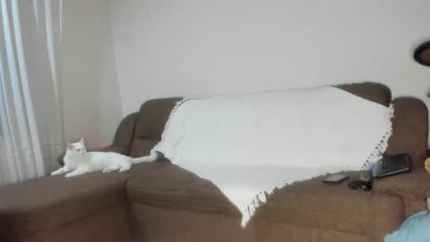 Issabelle online show from November 2025 06:25:02 AM