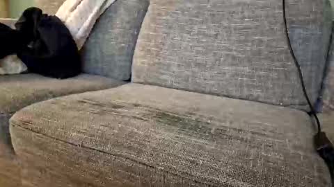 Snapshot of itsjeroen chatting on November 2025 01:52:01 AM itsjeroen online show from November 2025 01:52:01 AM