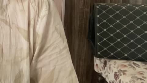 Raje online show from November 2025 07:31:02 AM