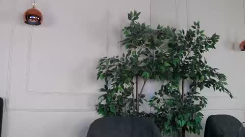 IvyLustt online show from June 2026 04:44:02 AM