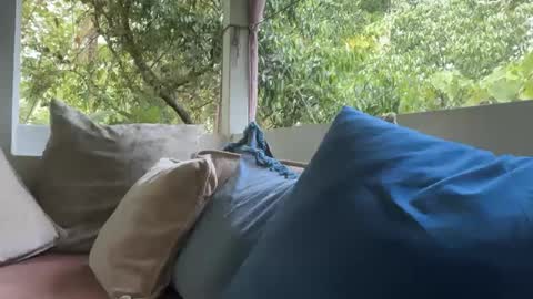 ivysagex online show from September 2025 01:17:02 AM