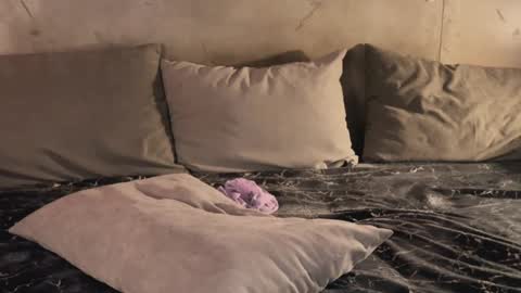 izi online show from February 2025 09:47:01 PM