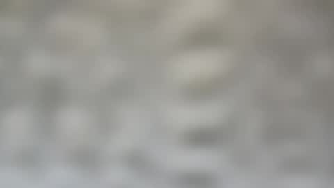 Snapshot of j727551 chatting on February 2025 07:28:02 PM j727551 online show from February 2025 07:28:02 PM