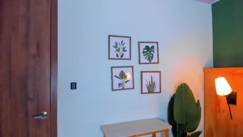 David online show from September 2025 03:08:02 AM