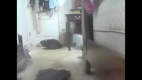 jaburgett1979 online show from October 2025 03:05:01 AM