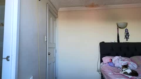 Jack online show from April 2026 04:59:01 PM