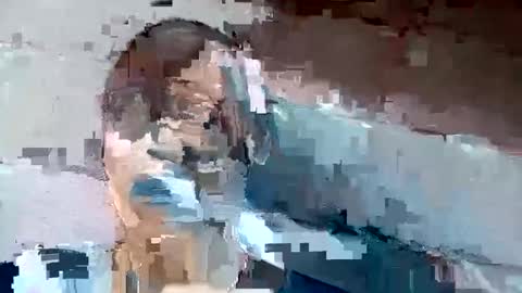 jackie petit online show from December 2024 01:24:02 PM