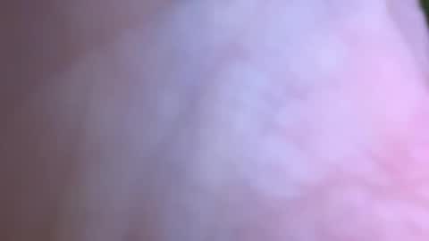 Snapshot of jackjackerman chatting on May 2026 02:49:02 PM jackjackerman online show from May 2026 02:49:02 PM