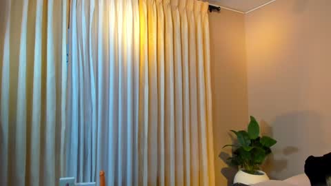 Snapshot of jacksonbell9 chatting on December 2024 01:07:02 PM Jackson Bell online show from December 2024 01:07:02 PM