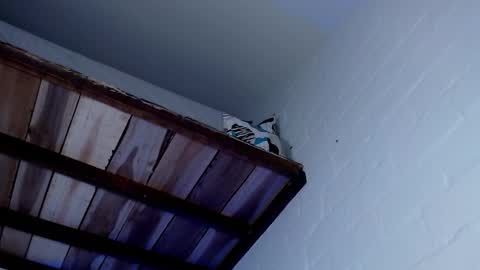 Snapshot of jacob_zane1 chatting on March 2025 07:57:01 AM Michael Caicedo online show from March 2025 07:57:01 AM