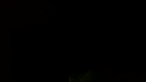 Jamacian online show from December 2024 10:08:02 PM