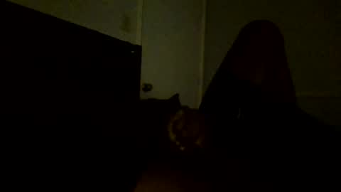 Jamacian online show from February 2025 11:11:02 PM