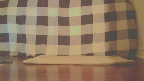 James online show from April 2026 01:33:01 AM