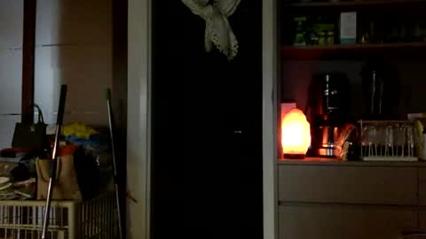 jamesmo820913 online show from October 2025 03:58:02 AM