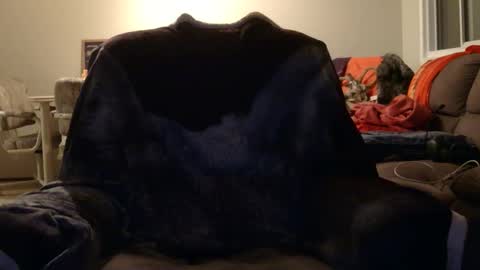 jameswolf777 online show from November 2025 08:48:02 AM