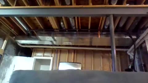 Snapshot of jamie19905 chatting on December 2025 04:10:02 AM jamie19905 online show from December 2025 04:10:02 AM