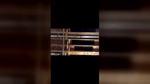 Snapshot of jamie19905 chatting on March 2026 03:45:01 AM jamie19905 online show from March 2026 03:45:01 AM