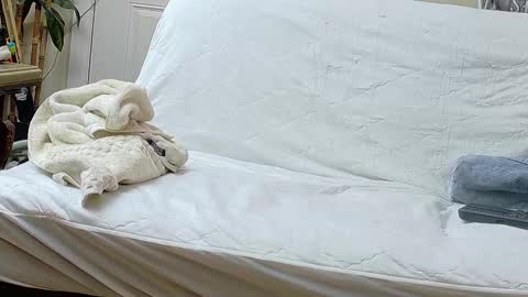 Bootyshows online show from September 2025 12:29:02 PM