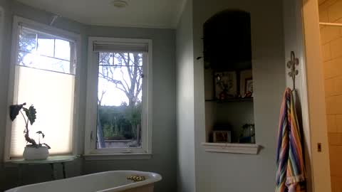 janicepepper online show from March 2025 12:53:01 AM