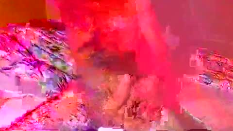 jardinflowers online show from November 2025 03:18:02 AM