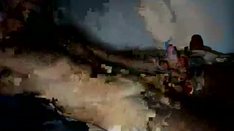 jardinflowers online show from November 2025 05:21:02 AM