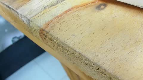 jason_and_diego online show from April 2026 11:43:01 PM