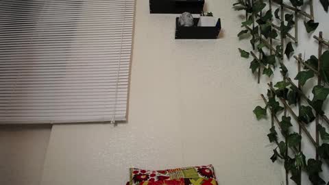 JKing  online show from January 2025 04:09:01 AM