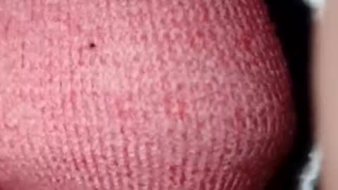 jasspreettt online show from December 2024 07:11:02 AM