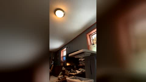 Snapshot of jawssharkparty chatting on January 2026 04:54:02 PM Jaws online show from January 2026 04:54:02 PM