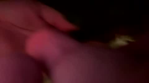 Snapshot of jawssharkparty chatting on February 2026 07:09:02 AM Jaws online show from February 2026 07:09:02 AM