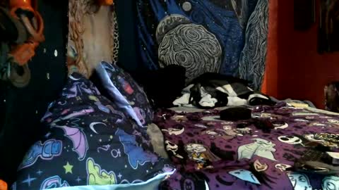 jaxxx666 online show from February 2025 10:46:01 AM