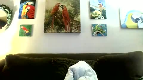 jay-jay1475 online show from January 2025 07:31:02 PM