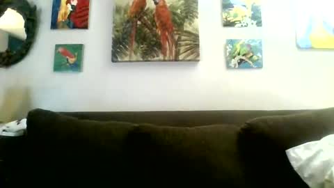 jay-jay1475 online show from January 2025 08:31:02 PM