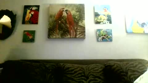 jay-jay1475 online show from February 2025 01:58:02 AM