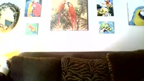 jay-jay1475 online show from November 2025 06:46:02 PM