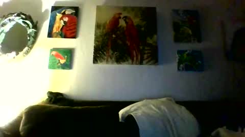 jay-jay1475 online show from January 2026 10:08:01 PM